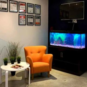 Waiting Room-Aquarium Cleaning GTA